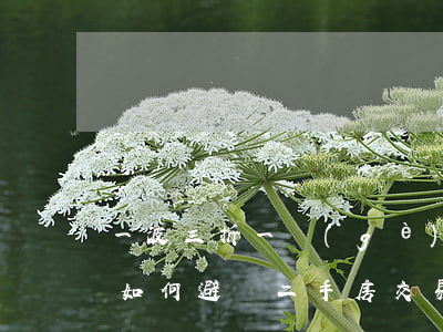 一波三折！一個(gè)90后的廣州買房記：如何避開二手房交易那些“坑”？